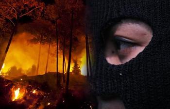 Polda Riau : Tersangka Pembakar Hutan Jadi 63 Orang